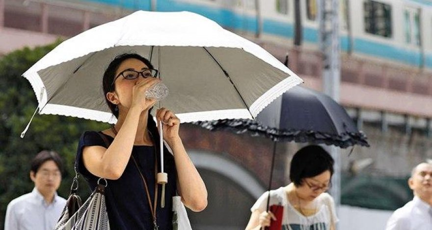 В Японии за неделю от жары умерли 10 человек