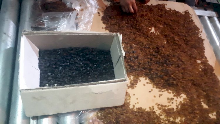 Kişmişin içərisində narkotik keçirmək istədi - Foto