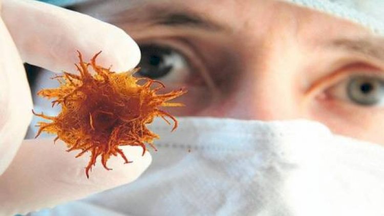 Xərçənglə mübarizə üsulu tapıldı - Yeni kəşf