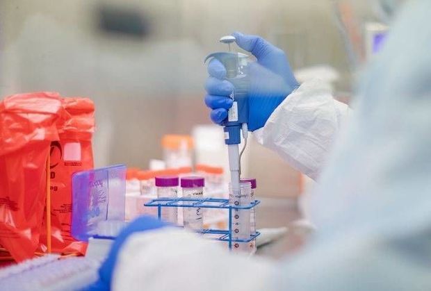 Число инфицированных коронавирусом в мире превысило 21 000 000