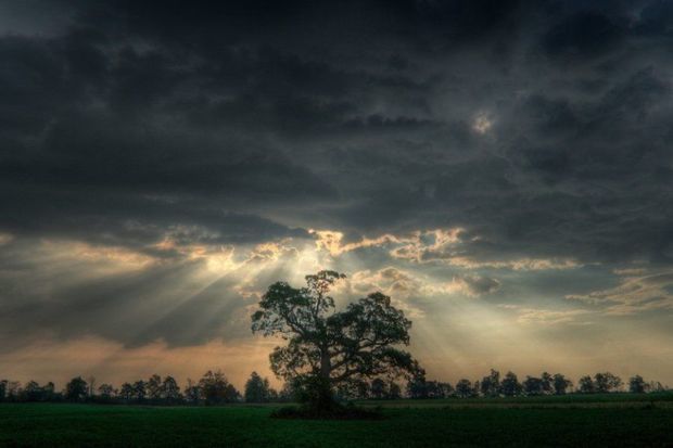 Завтра в Азербайджане местами будет дождливо