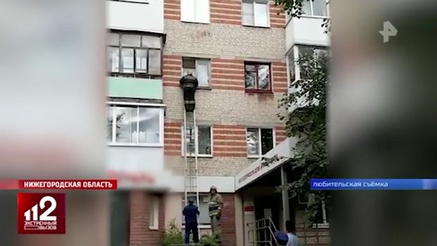 İt ev sahiblərini girov götürdü: Hadisə yerinə mütəxəssislər cəlb edildi - VİDEO