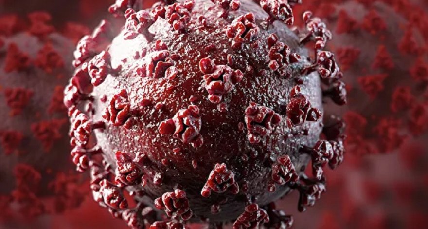 ВОЗ создала рабочую группу по определению мутаций COVID-19