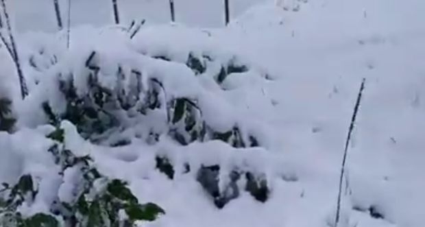 В Азербайджане выпал снег – ВИДЕО