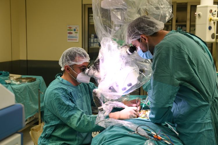 Heydər Əliyev Fondunun dəstəyi ilə eşitmə qüsurlu şəxslər üzərində koxlear implantasiya əməliyyatlarına başlanılıb - VİDEO