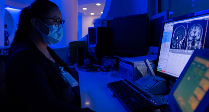 Раскрыта тайна человеческого мозга