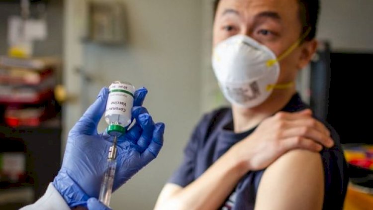 Koronavirusa qarşı həşərat hüceyrələrindən vaksin hazırlanıb