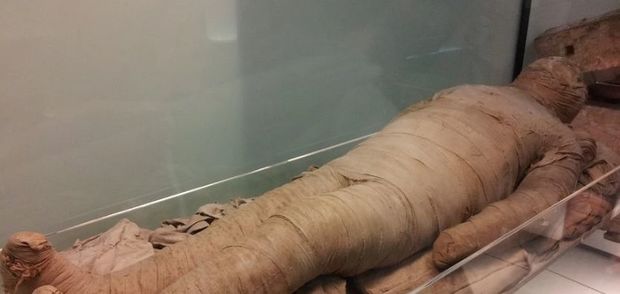 Россиянин год прожил с мумией матери