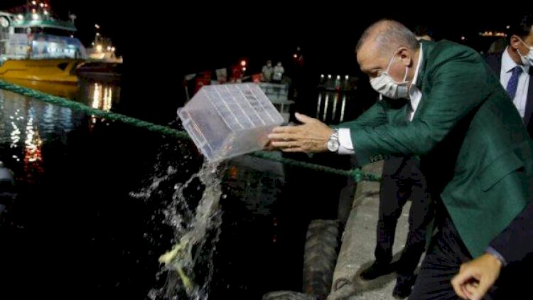 Ərdoğanın satdığı balığı 1,7 milyona aldılar