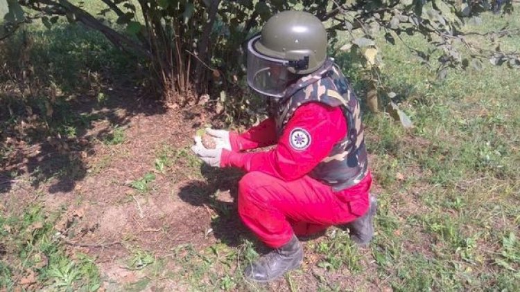 Fındıq bağında qumbara tapıldı - Foto