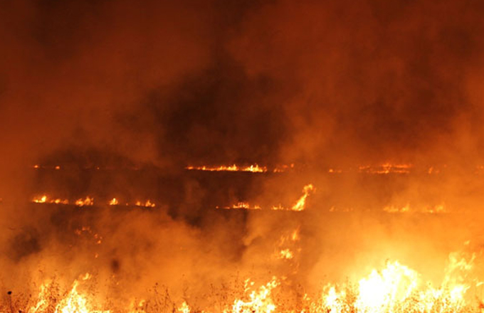SON DƏQİQƏ: Ermənistan Tovuzla sərhəddə yanğın törədir