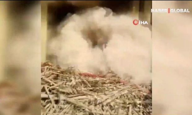 Alovu söndürməyə çalışan yanğınsöndürənlər bədbəxt hadisə ilə üzləşdilər - VİDEO