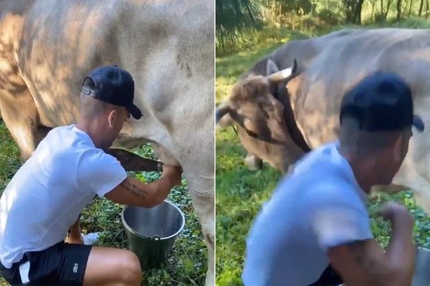 İnək sağmaq istəyən Lautaro Martinezin qorxulu və komik anları - VİDEO