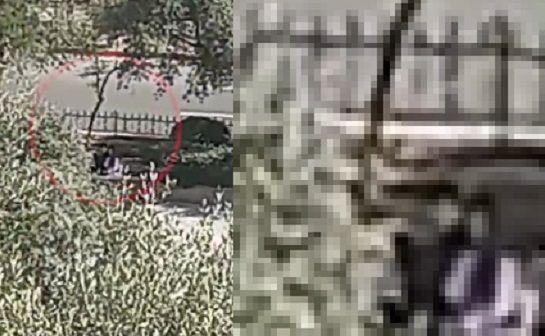 Bakıda qızla oğlan parkda görün nə etdilər... — Heç kimə fikir vermədilər və... / VİDEO