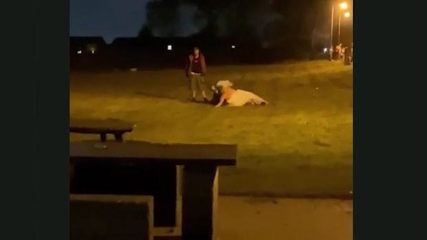 Gəlin toyunda əlbəyaxa davaya çıxdı - VİDEO