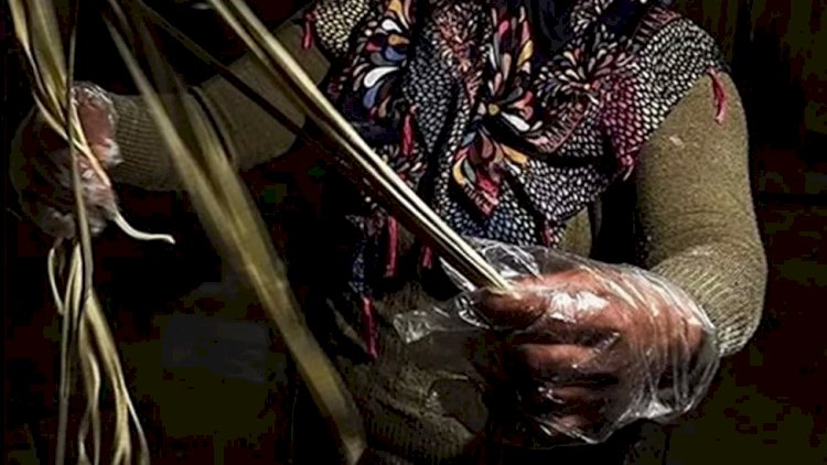 Əriştə kəsən 8 qadın koronavirusa yoluxdu