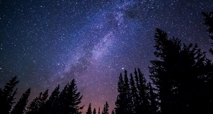 Ученые не исключили появления гибрида человека и пришельца