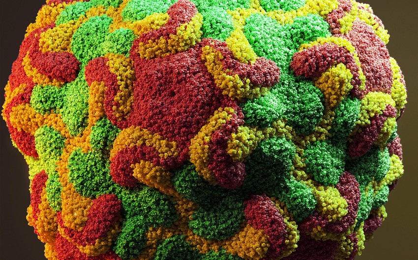 ŞOK: yeni qorxunc virus sürətlə yayılır - XEYLİ ŞƏXSƏ YOLUXDU