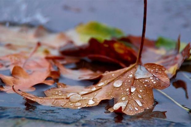 Завтра в Азербайджане местами будет дождливо