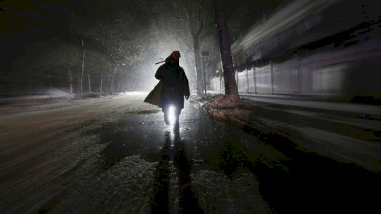 Salyanda manyak peyda olub: “Gördüm, qorxudan huşumu itirdim” - VİDEO