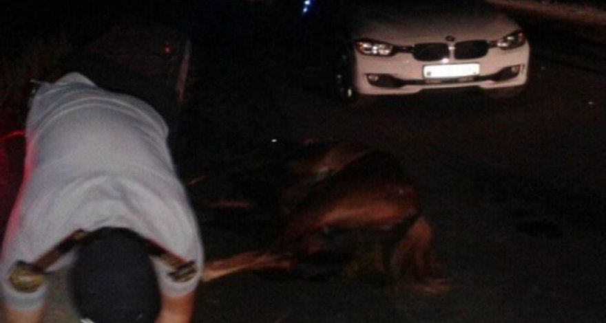 В Ширване автомобиль сбил мужчину верхом на коне