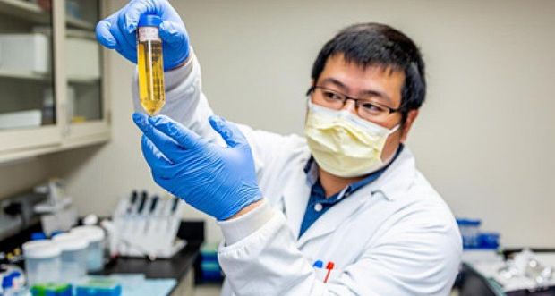 Найден полностью нейтрализующий коронавирус препарат