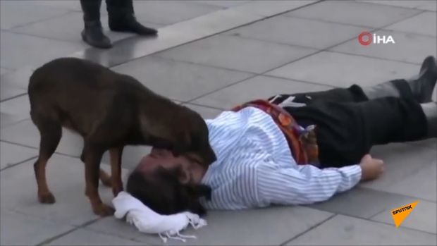 Küçə iti aktyorun yaralandığını sanıb kədərinə ortaq olmağa çalışdı – TƏSİRLİ VİDEO