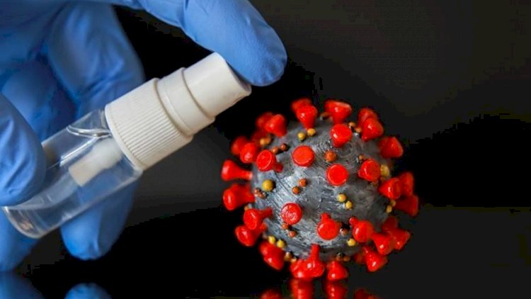 Alimlər koronavirusun necə yoluxduğunu tapdılar