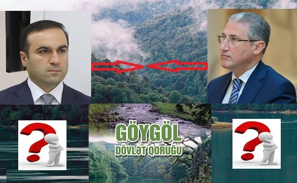 Göygöl Dövlət Qoruğu,Yoxsa Donuz Ferması?-VİDEO+FOTO