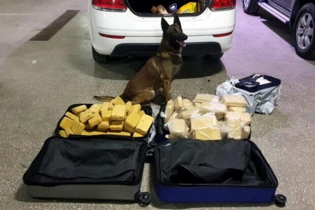 Təqaüddə olan polisin maşınından narkotik vasitə TAPILDI