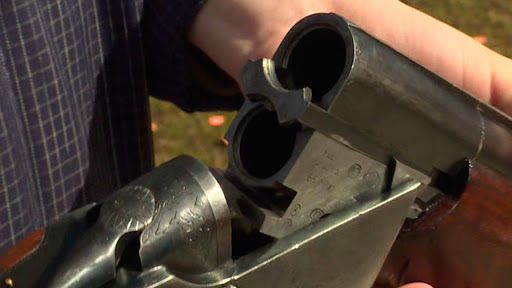 В Баку сын чиновника застрелил сестру