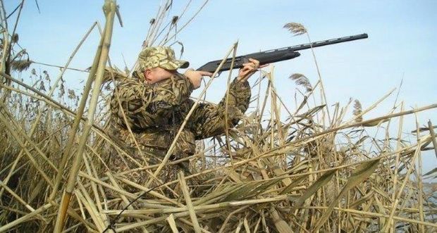 Ekspert yeni mövsümdə qanunsuz ovçuluq barədə: “Bir çöl kəkliyi belə müəssisədə 100 manata ola bilər”