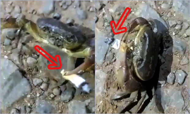 Siqaret tüstülədən xərçəng sosial şəbəkədə fenomen oldu