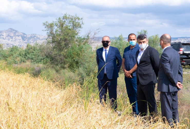 Kənd Təsərrüfatı naziri İnam Kərimov Ağdaş və Göyçayda təsərrüfatlara baş çəkib, fermerlərlə görüşüb