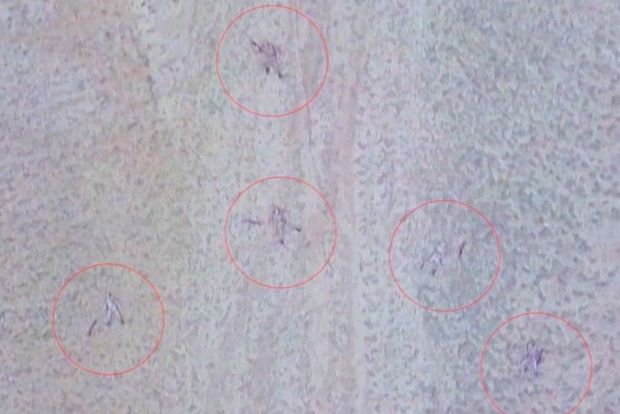 Talış kəndi ətrafındakı əlverişli yüksəkliklər düşməndən təmizləndi: Düşmən xeyli itki verdi - RƏSMİ + VİDEO