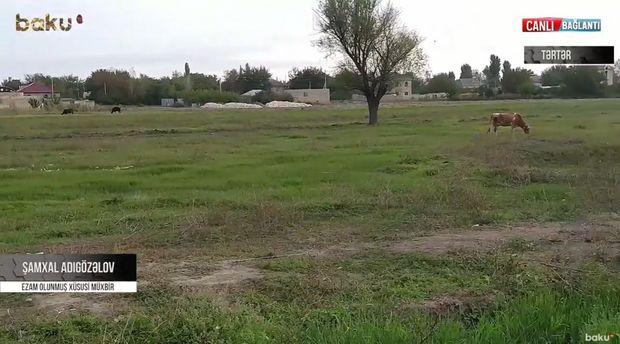 Tərtər cəbhəsində son vəziyyət - VİDEOREPORTAJ