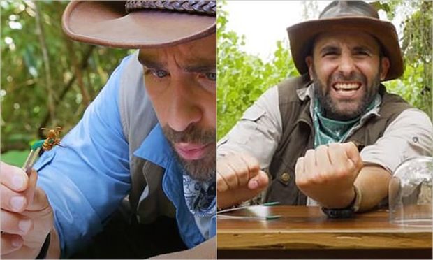 Həşəratlar tərəfindən qəsdən sancılandan sonra ağrı içində qıvrılmağını canlı yayımladı - VİDEO