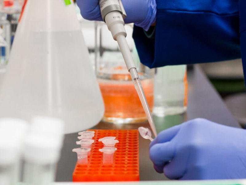 Alimlər: koronavirus gözlərimiz qarşısında mutasiya edir və daha təhlükəli olur