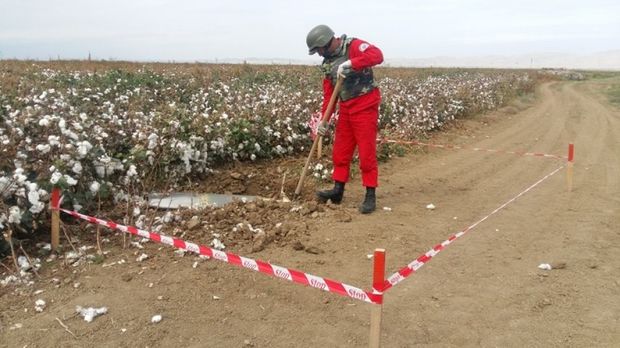 ANAMA tərəfindən cəbhəboyu ərazilərdə təxirəsalınmaz əməliyyatlar keçirilib