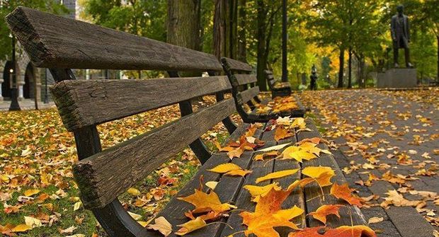 Sabahın hava proqnozu açıqlandı