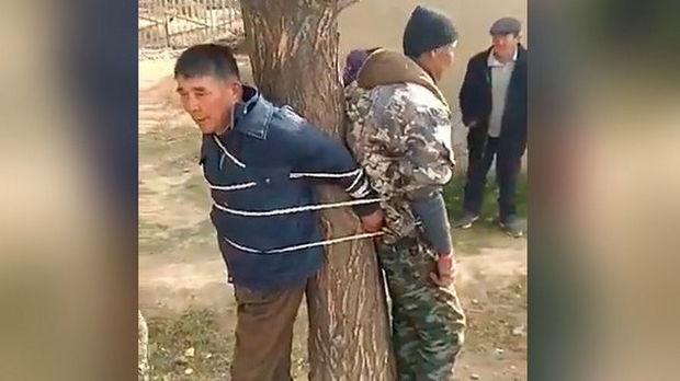 Qırğızıstandan qəribə görüntü: Məmur və polis ağaca bağlandı - VİDEO