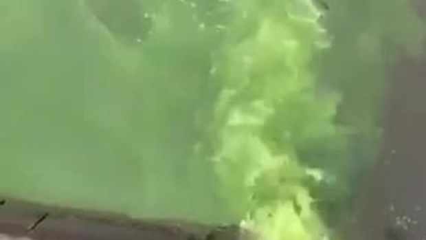 Moskva çayına axıdılan yaşıl maye sakinləri təşvişə saldı - VİDEO