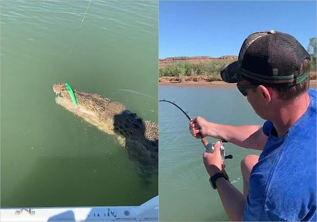 Tilovuna timsah düşən balıqçının görüntüləri maraqla qarşılandı – VİDEO
