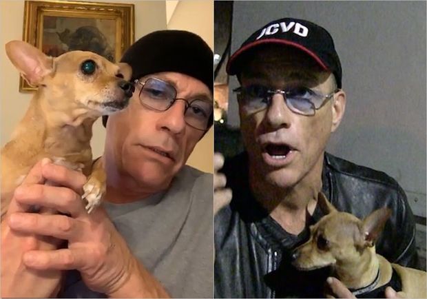 Jan Klod Van Damm başlatdığı kampaniya ilə sosial şəbəkəni bir-birinə qatdı