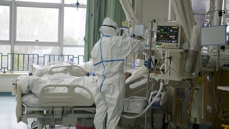 Gürcüstanda 1 595 yeni yoluxma - 6 nəfər öldü