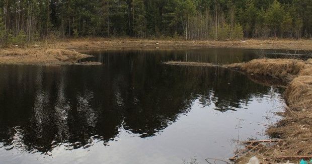 Dörd gün meşədə azıb qaldı: Giləmeyvə yedi, yerdə yatdı