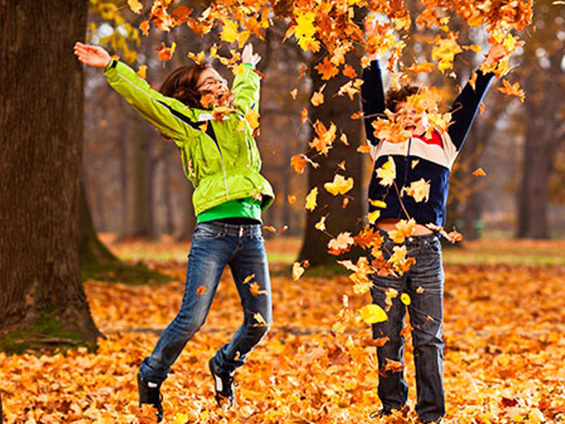 Bakıda 24, rayonlarda 26 dərəcə isti olacaq