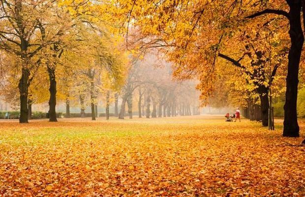 Прогноз погоды на 27 октября