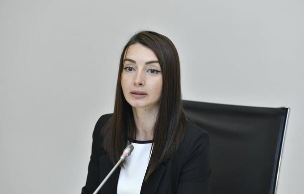 Лейла Абдуллаева сделала заявление в связи с нарушением Арменией режима прекращения огня – ВИДЕО