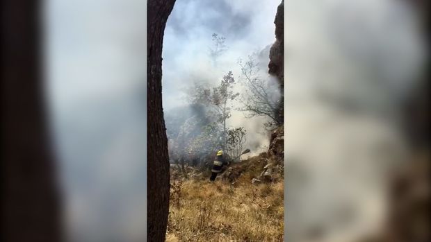 Ermənilərin atəşi nəticəsində Daşkəsəndə meşəlikdə başlayan yanğın söndürülüb - YENİLƏNİB + VİDEO